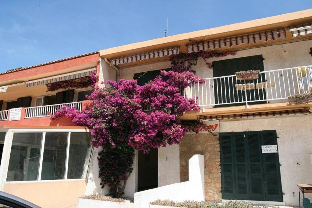Appart Hyeres-Presqu'Ile De Giens-La Capte Екстер'єр фото